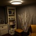 LED svietidlo OPAL+diaľk.ovládač+Wifi 48W