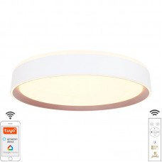 LED svietidlo OPAL+diaľk.ovládač+Wifi 48W